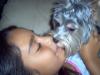 Yorkies love to kiss!-im000790_800x600.jpg