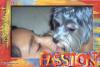 Yorkies love to kiss!-passion.jpg