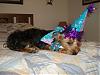 Happy 1st Birthday Lexie!-lexie-looks-all-partied-out.jpg