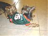 THANK you Rachel (Sweetpea) and GOOOOO CANES!!!-p9070084.jpg