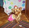 Lacy's Birthday Party!!!-cupcake.jpg