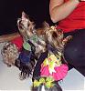 Lacy's Birthday Party!!!-layla-taffy.jpg