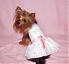 Lacy's Birthday Dresses! - Go.Fetch, Chloe Bella, & Hip Doggie-pink-ice2.jpg