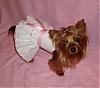 Lacy's Birthday Dresses! - Go.Fetch, Chloe Bella, & Hip Doggie-pink-ice3.jpg