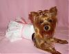 Lacy's Birthday Dresses! - Go.Fetch, Chloe Bella, & Hip Doggie-pink-ice5.jpg