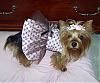 Lacy's Birthday Dresses! - Go.Fetch, Chloe Bella, & Hip Doggie-skull-dress3.jpg