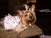 Look at my angels!!-lucy-rebel-033-568-x-426-.jpg