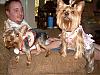 Look at my angels!!-lucy-rebel-036-568-x-426-.jpg