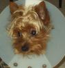 Poor Mr. Cone Head...-p1010020.jpg