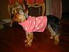 -::-Daisy in her NEW couture-::--daisyswter2.jpg