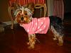 -::-Daisy in her NEW couture-::--daisyswtr3.jpg