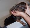 My baby in the tub....-jack-bath-002-res.jpg