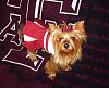 Lacy Cheering For Her Team in Chloe Bella!-aggie2.jpg