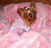 Lacy's First PJs-pjs-pink.jpg