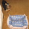 Avery's NEW bed pics!! Thanks Donna!!-avery-september-part-2-107abb.jpg