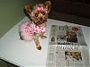 Little Maddie posing with her paper article-maddiepaper-014.jpg