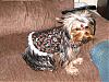 I Made Izzie a Dress-img_1285.jpg