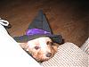 Sedona is a witch!!-sed-halloween-6.jpg