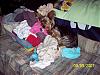 I love clean warm clothes.-picture-426-800-x-600-.jpg