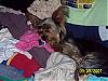 I love clean warm clothes.-picture-428-800-x-600-.jpg