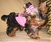 Lola, My Berry Berry Cutie!!-img0001_11.jpg