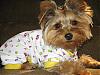 Puppy PJ's!!!  Everyone Share!!-june-16.jpg