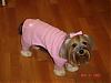 Puppy PJ's!!!  Everyone Share!!-58535413.jpg