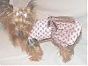 Post Your Yorkie With Isabels Bows-dscf6691s.jpg