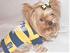 Post Your Yorkie With Isabels Bows-dscf6718s.jpg