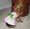 Lacy got a new Chloe Bella dress today!-picnic-dress.jpg