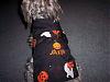 Jaxon's Halloween Pocomutt Harness-pocomutt-2.jpg