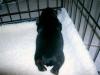 Updated puppy pictures-cimg0916.jpg