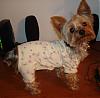 Puppy PJ's!!!  Everyone Share!!-koda-pj_s-18-.jpg