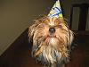 BETTY"S 1st Birthday Party!!!-lrsz925.jpg