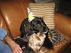 BETTY"S 1st Birthday Party!!!-lrsz936.jpg