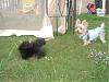 First day out in the back yard!!-dsc00001a.jpg