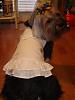 Pictures of Sophie with her new Good Earth Dog clothes.-58535633.jpg