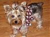 Can I just say, Molly Mae is just soooo PRETTY!!!!-maverick-goes-home-102007-002.jpg