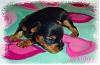 Our eyes are open, come check us out!!-melody-3wks-04.jpg