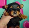Our eyes are open, come check us out!!-melody-3wks-05.jpg