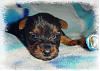 Our eyes are open, come check us out!!-allegro-3wks-03.jpg