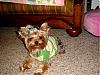 Dolly after bath~-girls102107-036.jpg