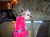 Gracie's ready for the party!-gracieparty2.jpg