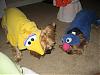 Big Bird & Grover from Sesame St!!!!-halloween07-049.jpg
