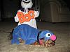 Big Bird & Grover from Sesame St!!!!-halloween07-020.jpg