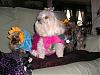 My Babies In Their Halloween Costumes! Cute!-halloweencostumesfurkids2007-049.jpg