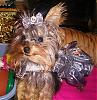 My Babies In Their Halloween Costumes! Cute!-image00010.jpg