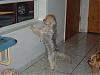 when is my daddy coming home?-picture-2070.jpg