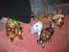 The Wizard of Oz-img_1972.jpg