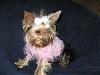 Jolie's new pink sweater-jolie-new-sweater-rez.jpg